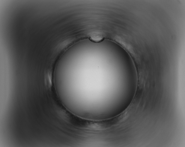 X0000094910062200712061057