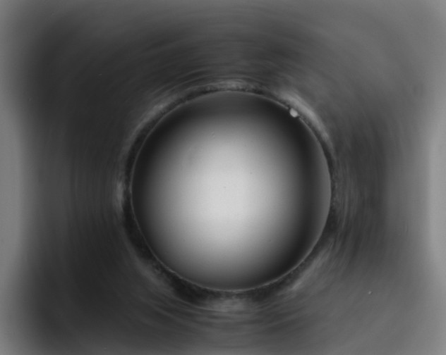 X0000094910063200712061057