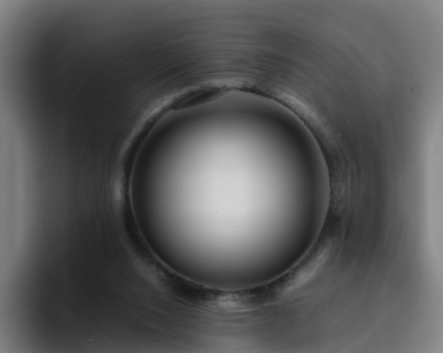 X0000094910064200712061057