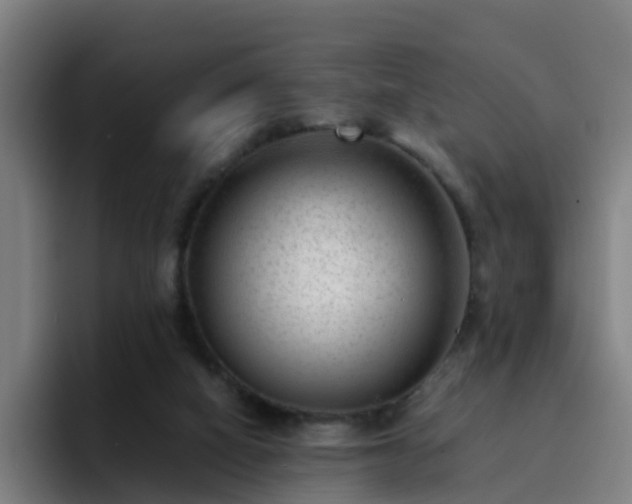 X0000094910066200712061057