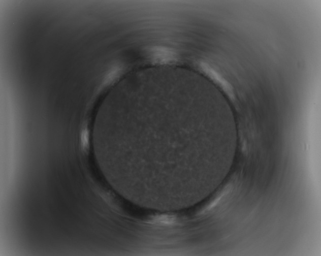 X0000094910067200712061057