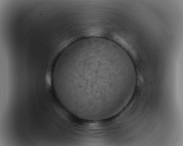 X0000094910068200712061057