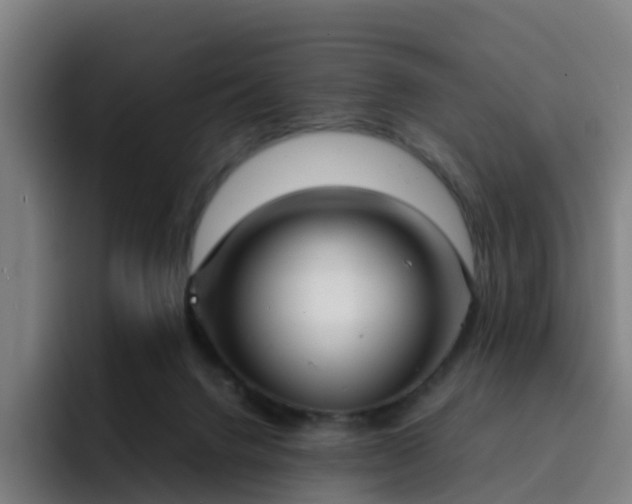X0000094910072200712061057