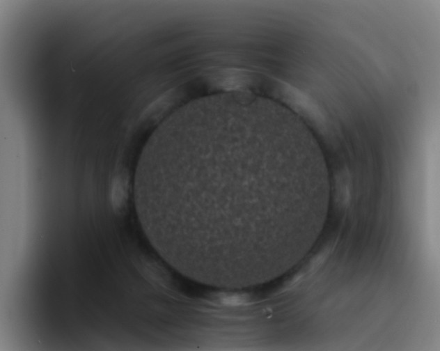 X0000094910073200712061057