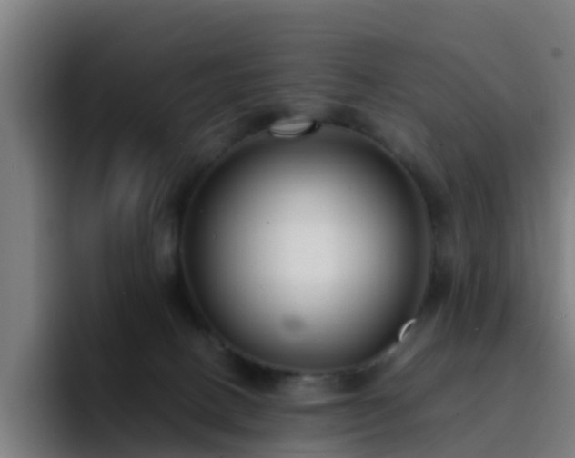X0000094910082200712061057