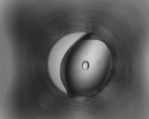X0000094910088200712061057