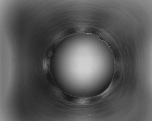 X0000094910094200712061057