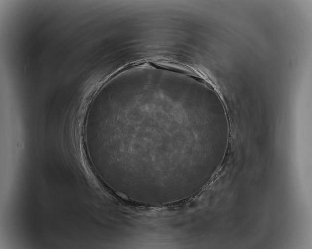 X0000094910097200712061057