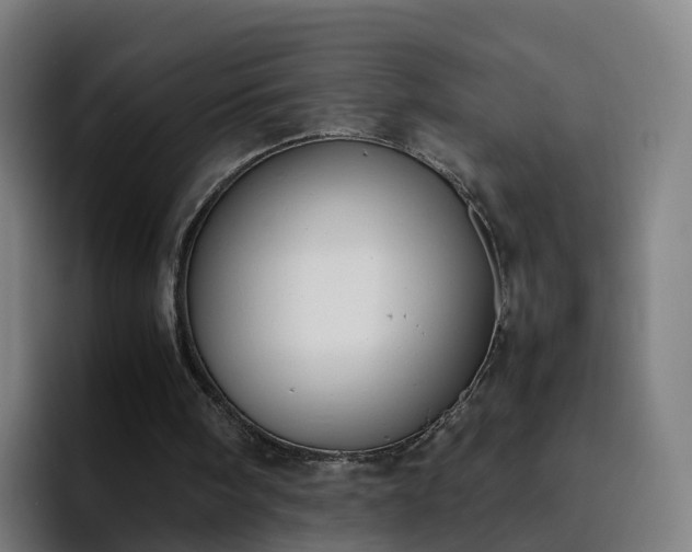 X0000094910098200712061057