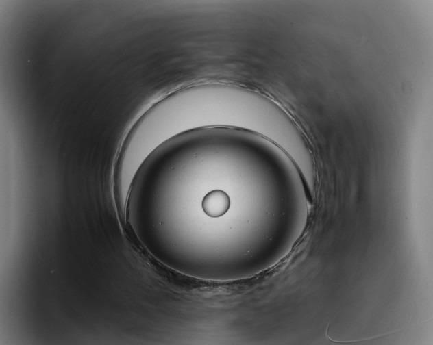X0000094910100200712061057