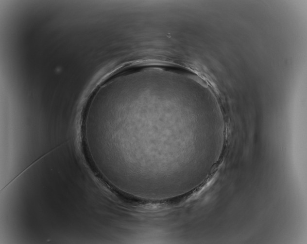 X0000094910101200712061057