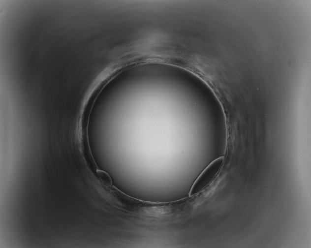 X0000094910102200712061057