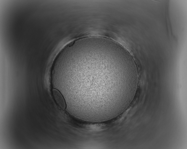 X0000094910103200712061057