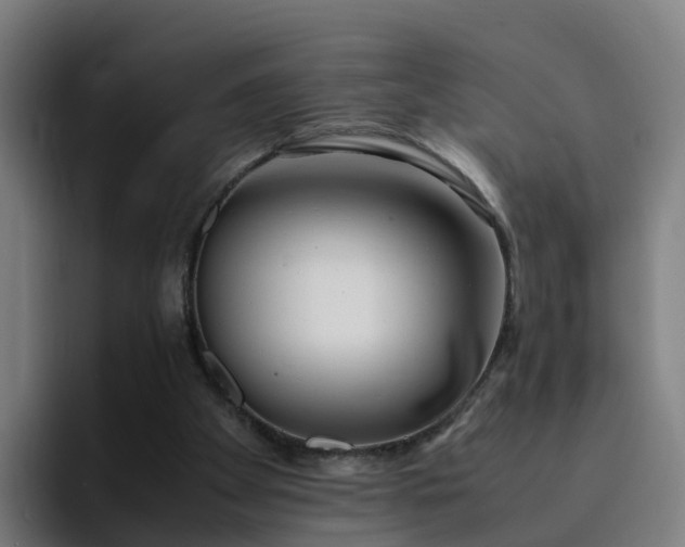 X0000094910105200712061057
