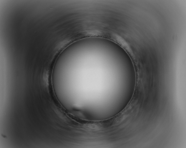 X0000094910106200712061057