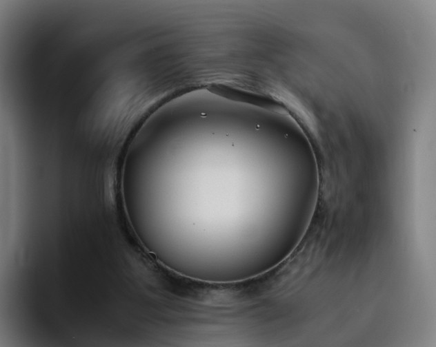X0000094910107200712061057