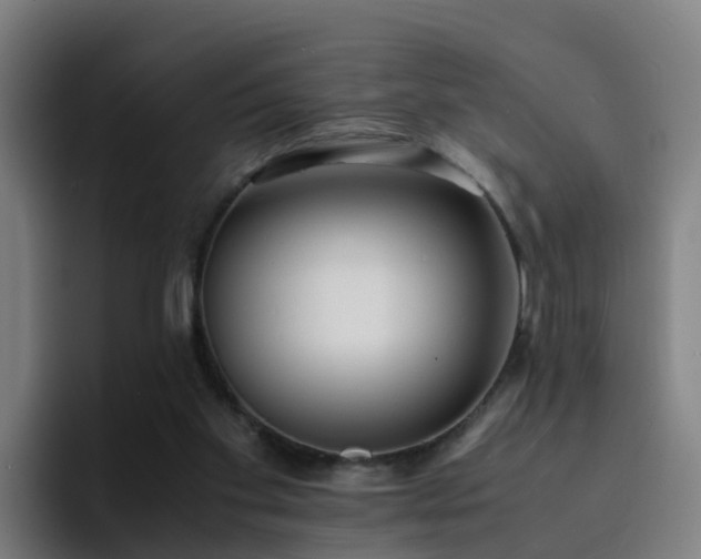X0000094910109200712061057