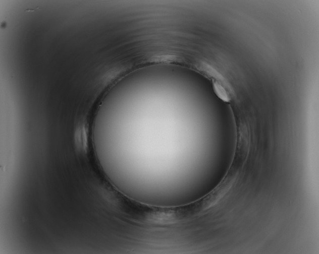 X0000094910110200712061057