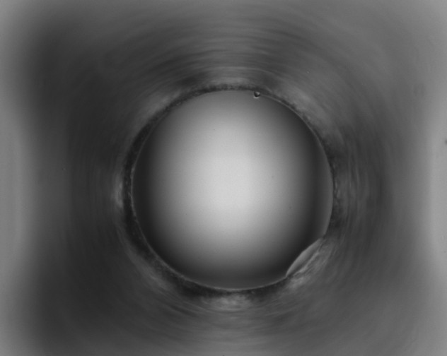 X0000094910112200712061057