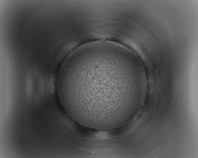 X0000094910114200712061057