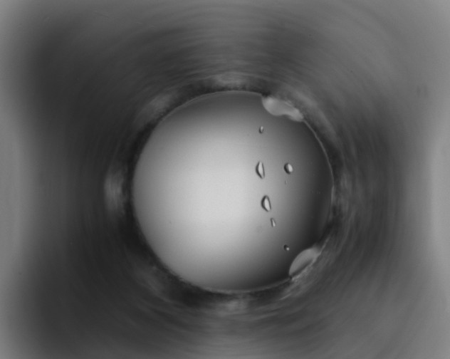 X0000094910116200712061057