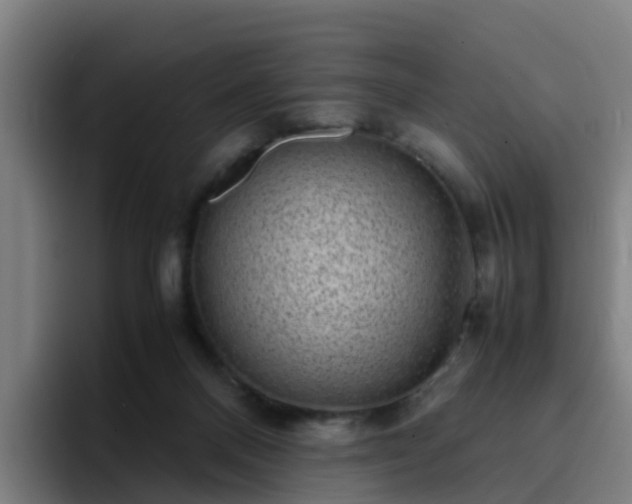 X0000094910120200712061056