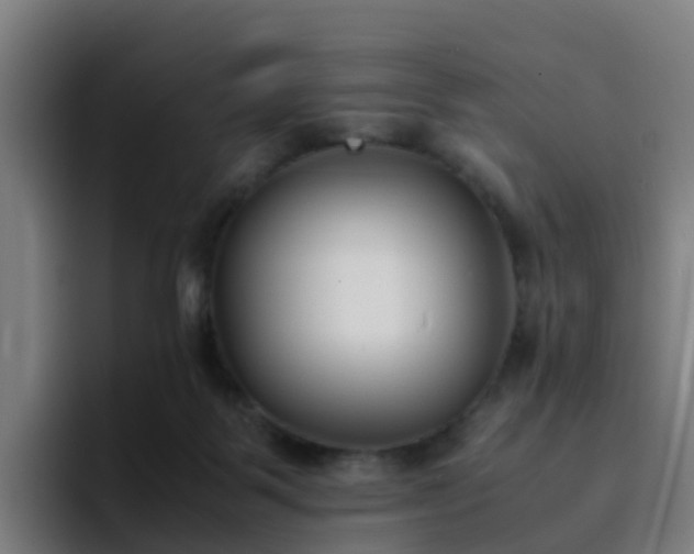 X0000094910123200712061056