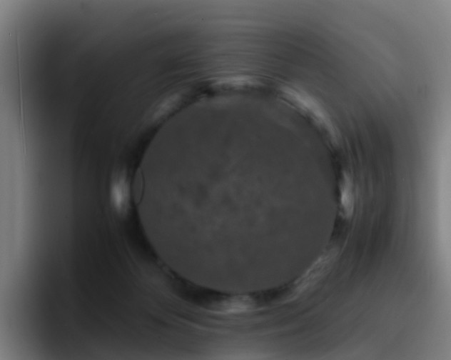 X0000094910124200712061056