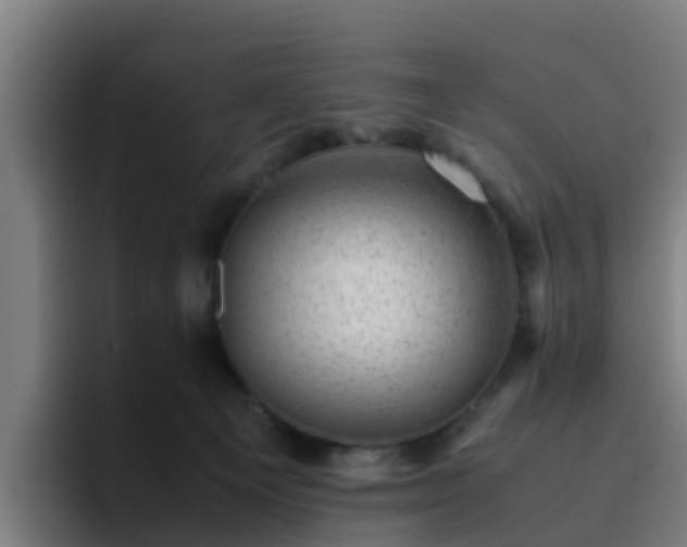 X0000094910129200712061056