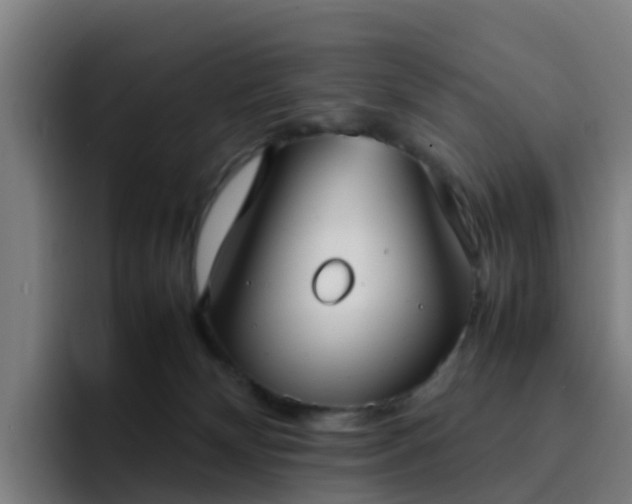 X0000094910132200712061056