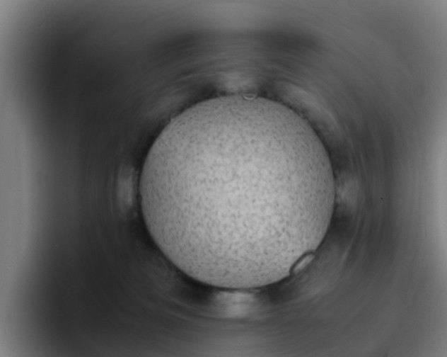 X0000094910133200712061056