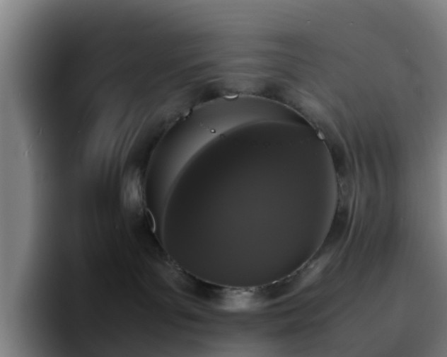 X0000094910143200712061056