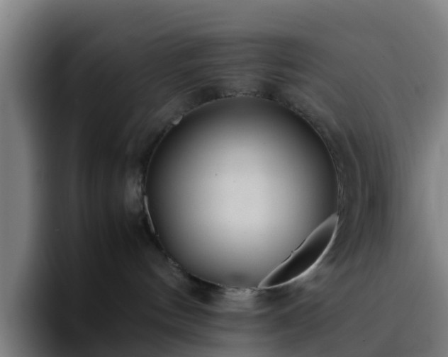X0000094910144200712061056