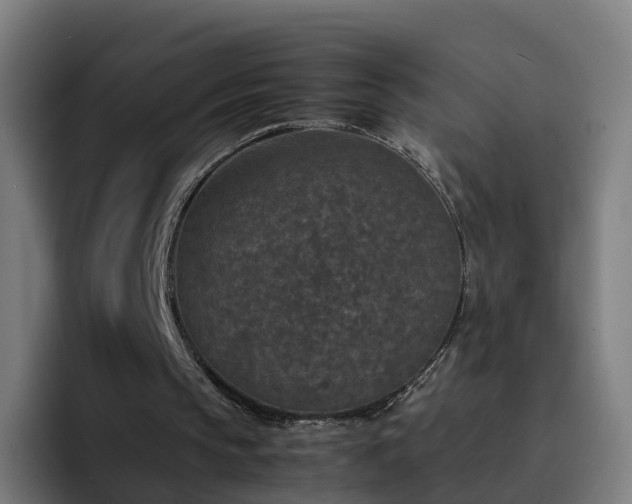 X0000094910145200712061056