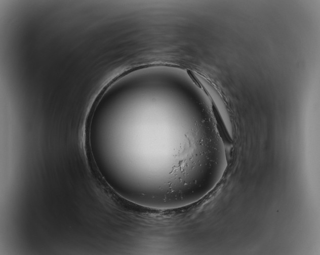X0000094910148200712061056