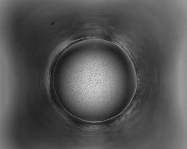 X0000094910149200712061056