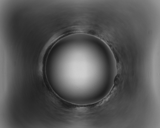 X0000094910150200712061056