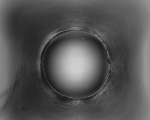 X0000094910152200712061056