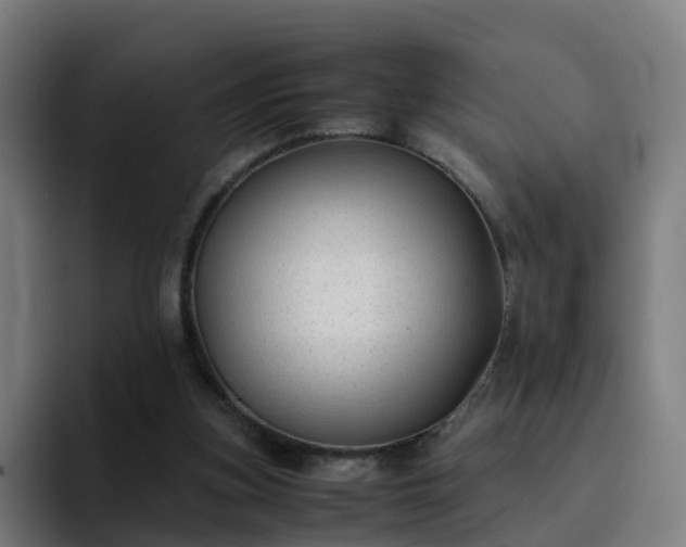 X0000094910155200712061056