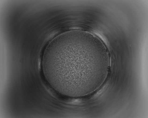 X0000094910157200712061056