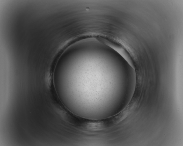 X0000094910160200712061056