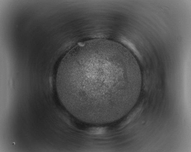 X0000094910161200712061056