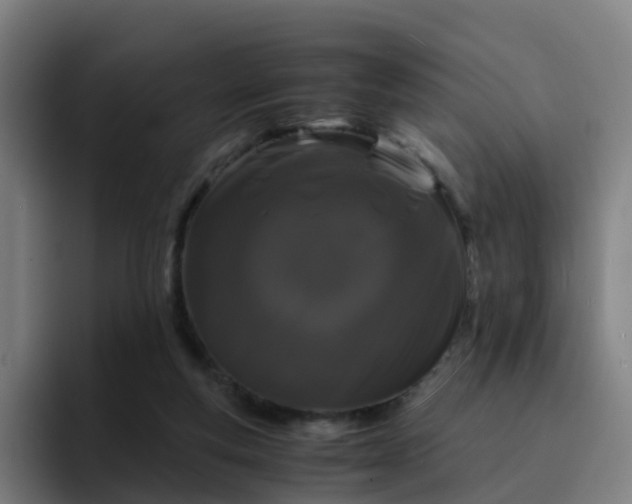X0000094910163200712061056