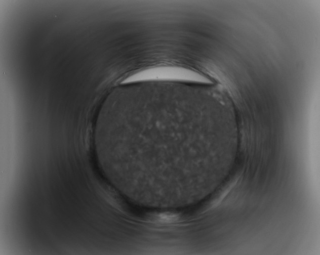X0000094910165200712061056