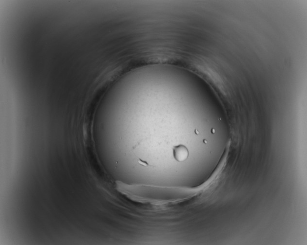X0000094910166200712061056