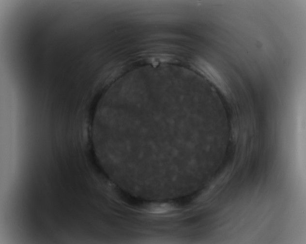 X0000094910169200712061056