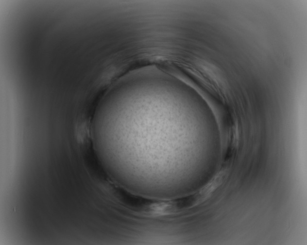 X0000094910172200712061056