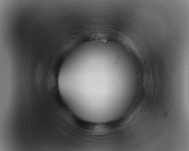 X0000094910173200712061056
