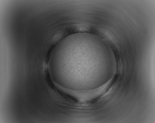 X0000094910176200712061056