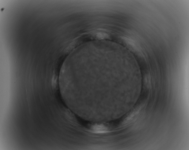 X0000094910177200712061056